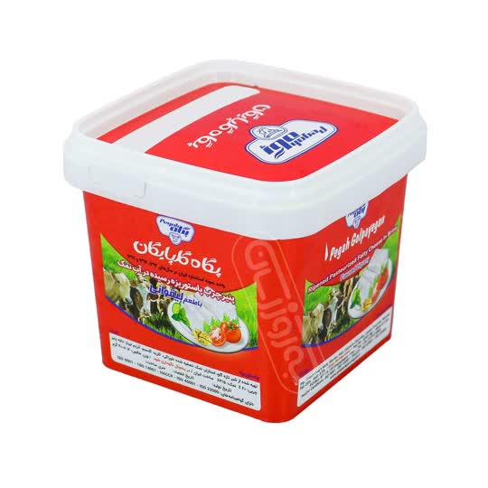 پنير پر چرب پاستوريزه در آب نمك با طعم ليقواني 400 گ پگاه گلپايگان کد 203010072